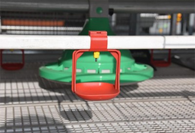 How to use farming broiler battery cages (2).png