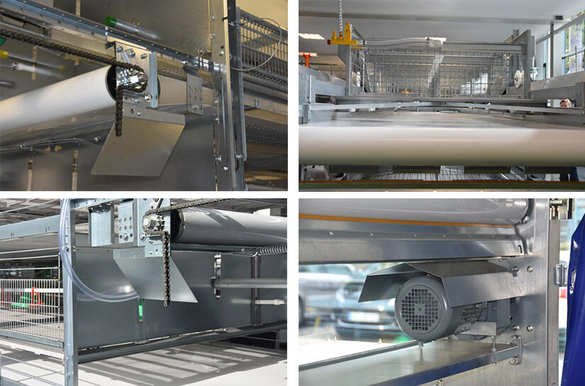 Best finished 3 rows 4 tiers battery cage system 