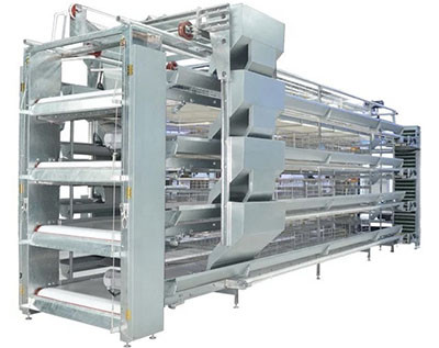 The size of chicken egg layer cage and battery cag
