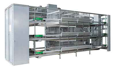 What is the differences between layer battery cage