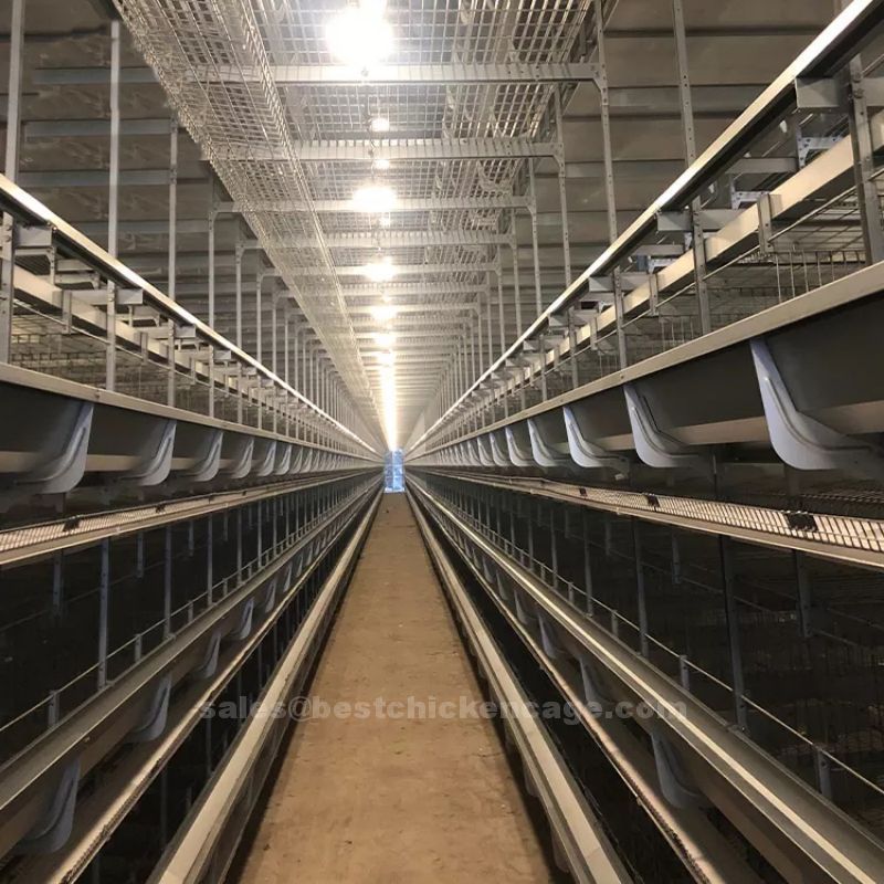 Reason to raise your layer with battery cage system