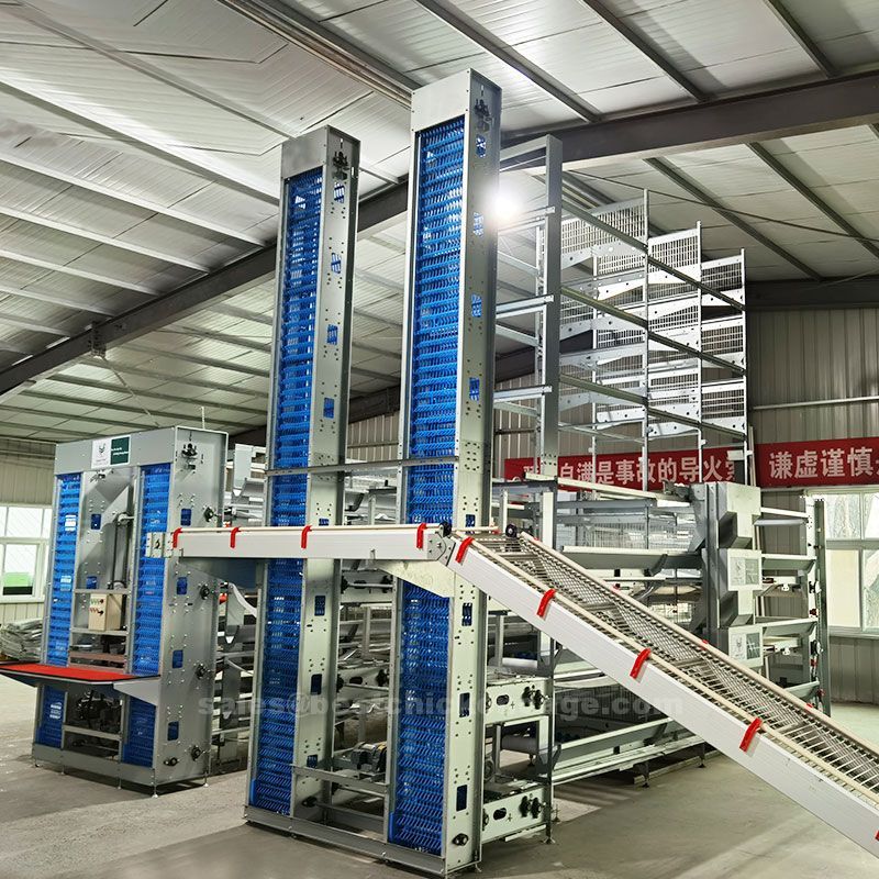 Why the chicken egg industry plays a critical role in meeting the world's growing demand for eggs and other poultry products