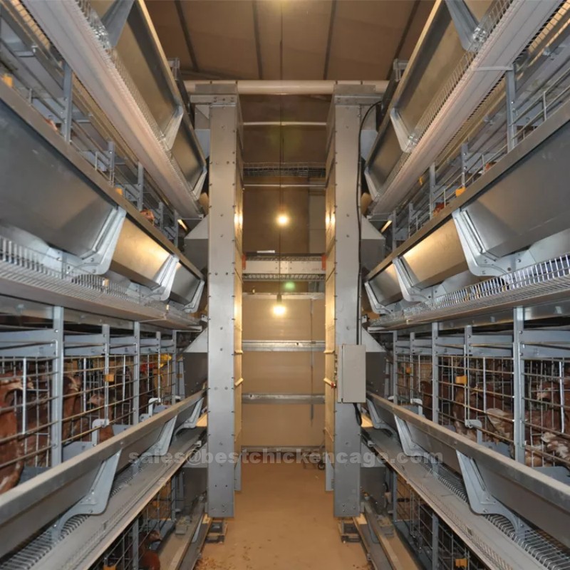 New type of  chicken cage is a structure specially designed to house and contains chickens