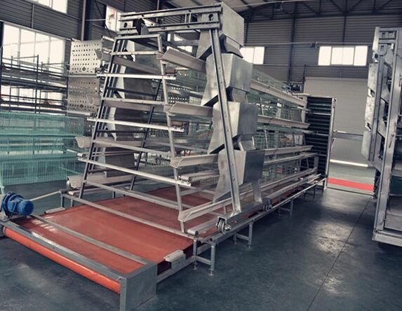Dimensions and advantages of battery cages are designed to maximize space efficiency reducing the need for manual labor