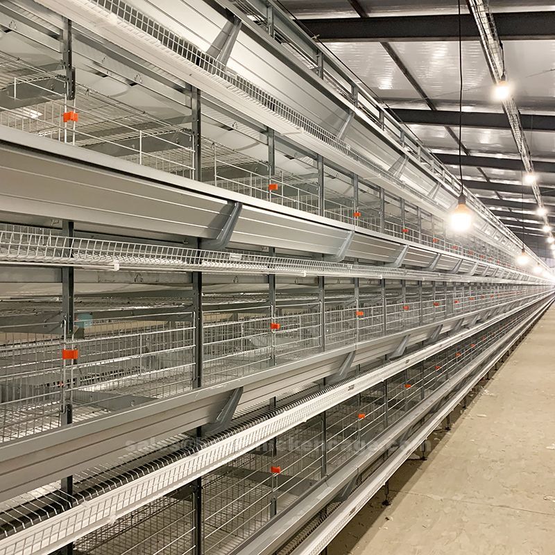 Do you know these on the layer chicken cage has become an indispensable tool for poultry farmers worldwide
