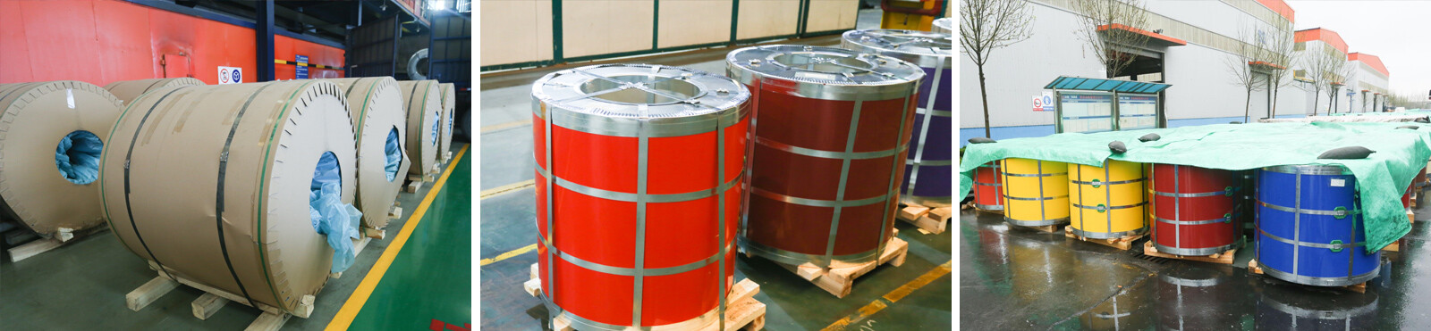 SGCC Color coated steel coil