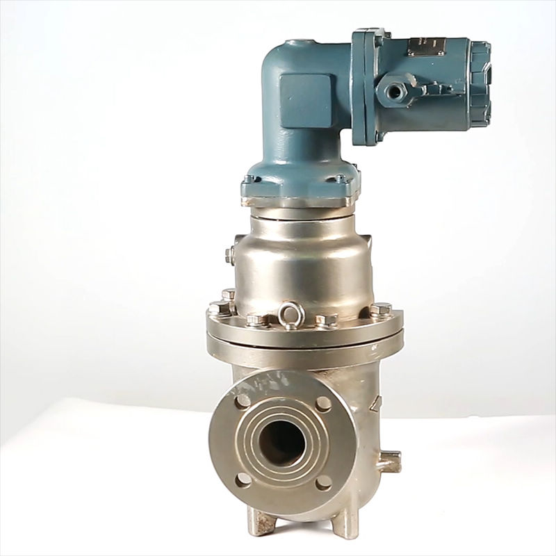 LSZ - Double Rotator Flowmeter