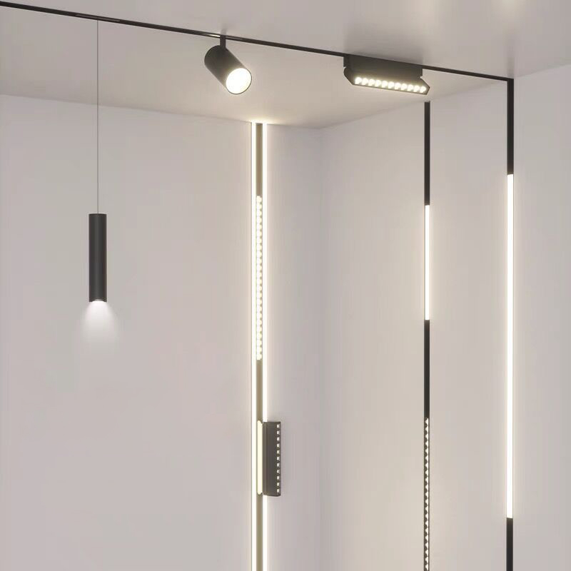 Magnetic track light application