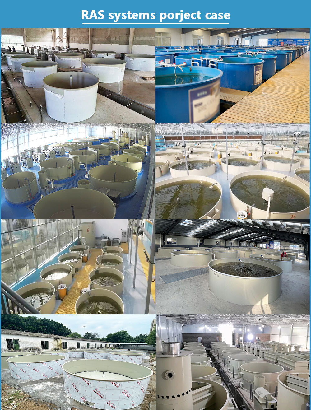 Recirculating Aquaculture System (RAS)   Closed-Loop Indoor Fish Farming System