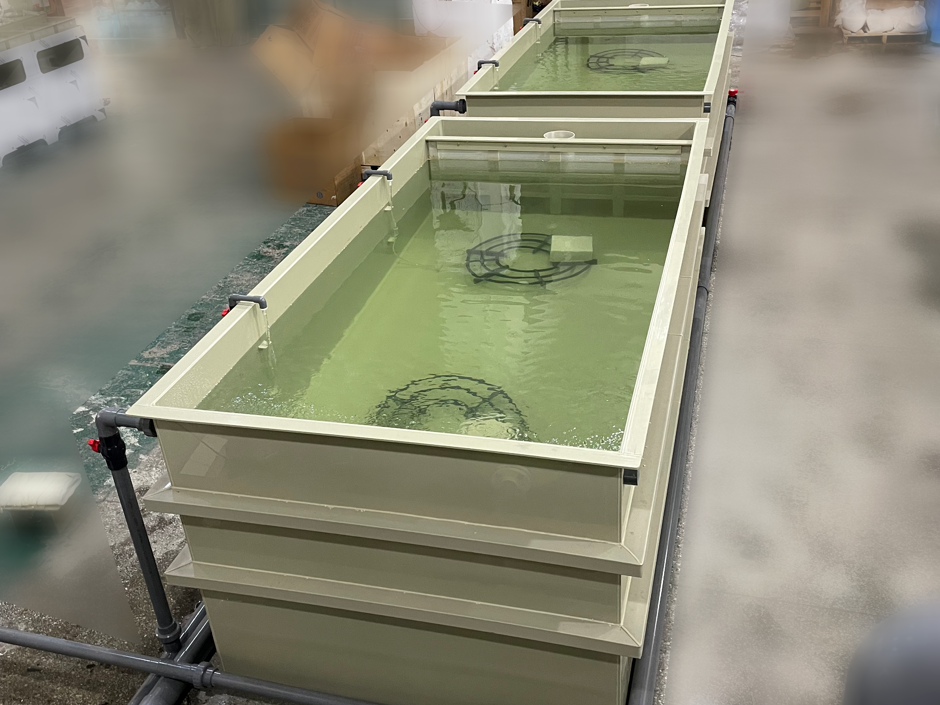 94DE946FA5E3E3B8260D97D2C9DEC49C