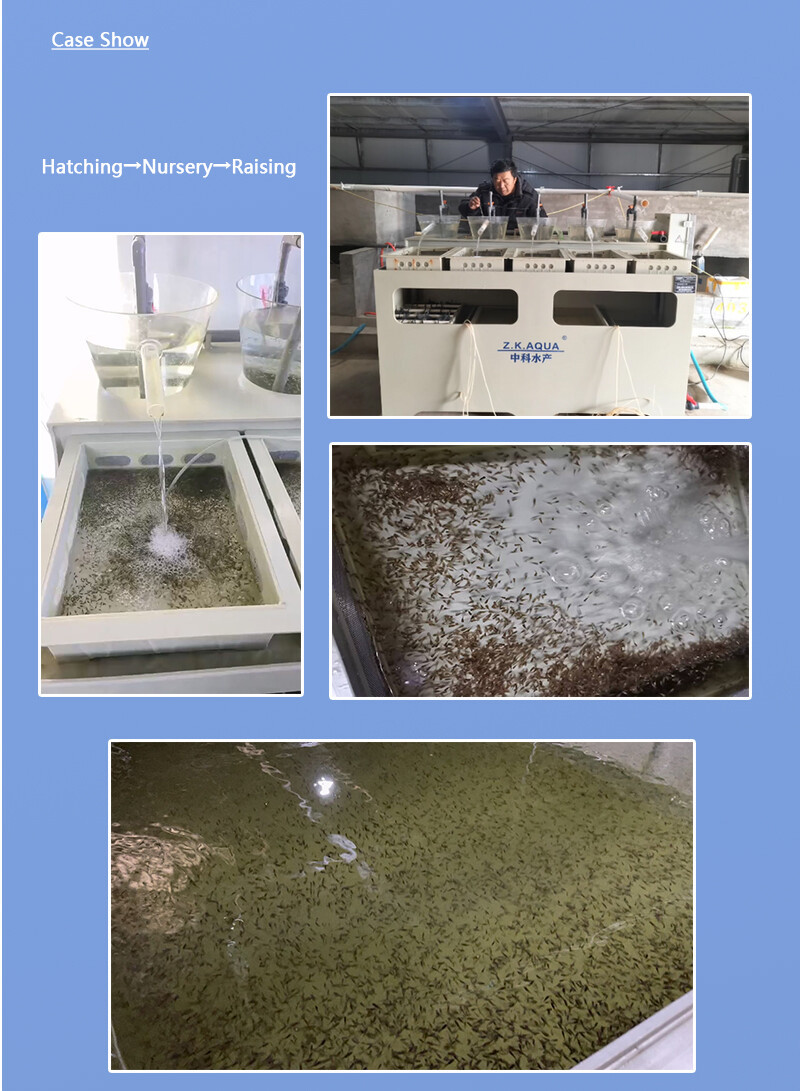 育苗系统全11_07