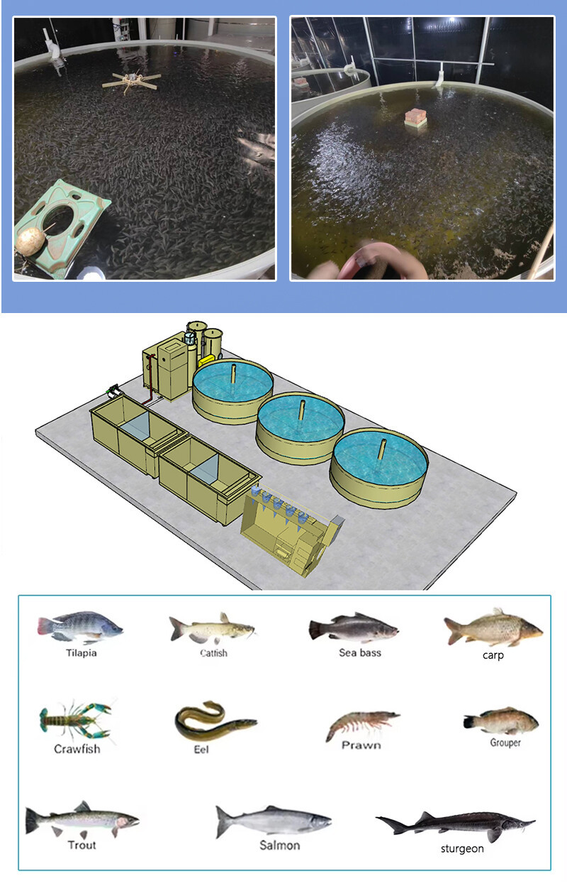 育苗系统全11_08