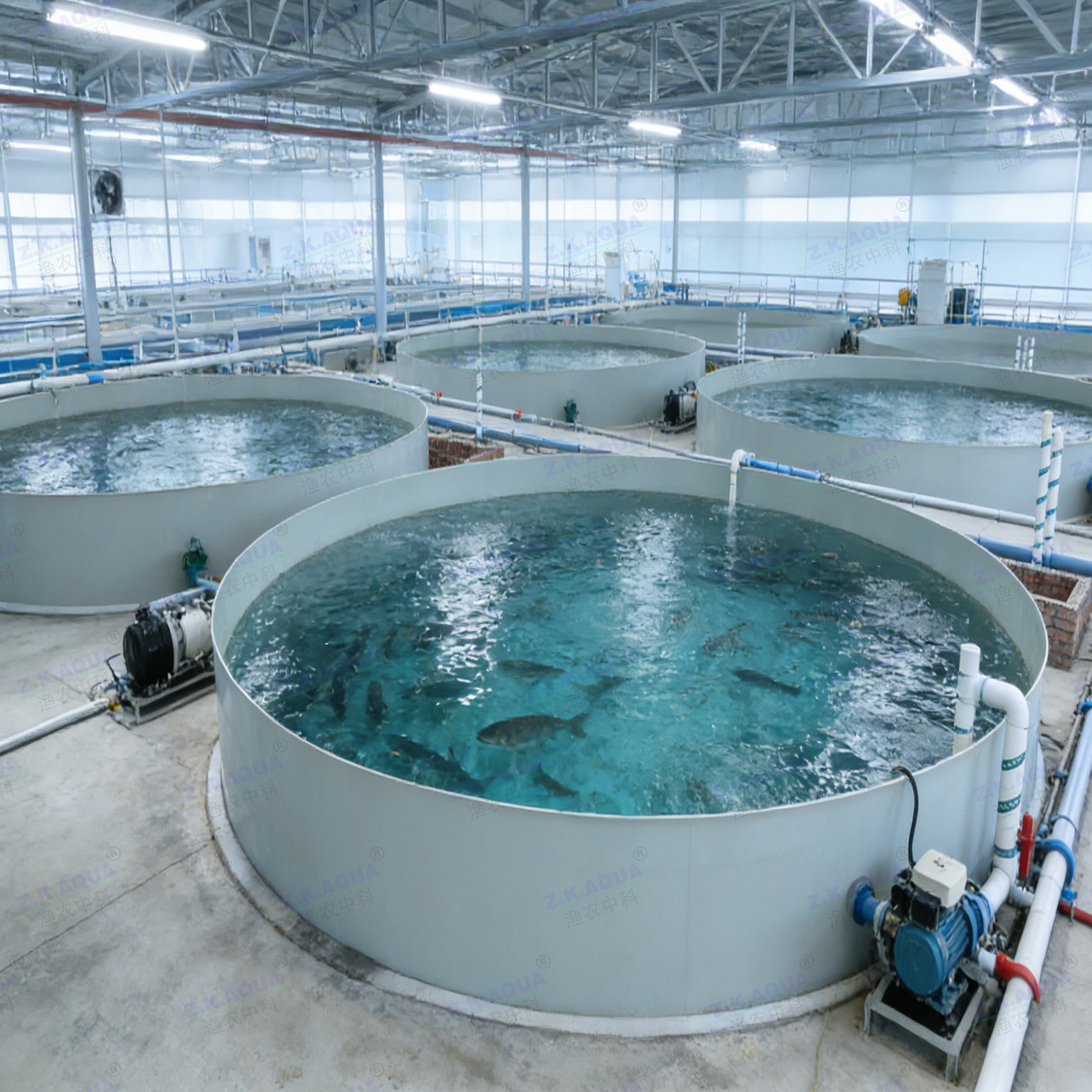 Recirculating Aquaculture System (RAS)   Closed-Loop Indoor Fish Farming System