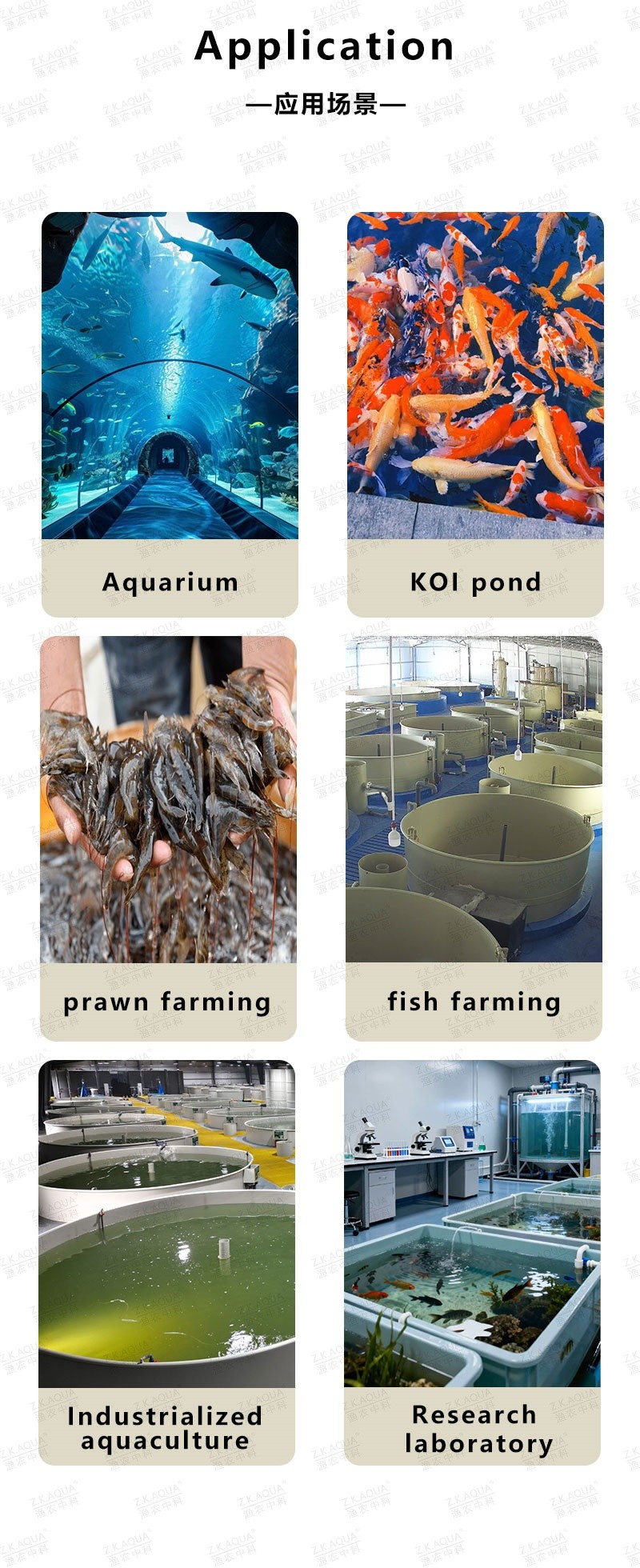 Commercial Protein Skimmer   Aquarium & RAS System Water Purification Equipment