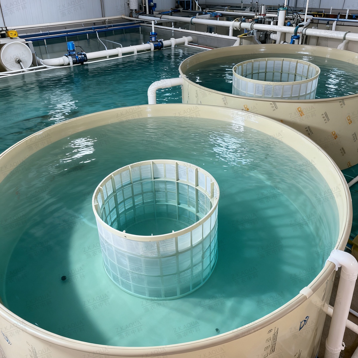 Circular Raceway Hatching Pond | Constant Flow Aquaculture Larvae Incubation Tank