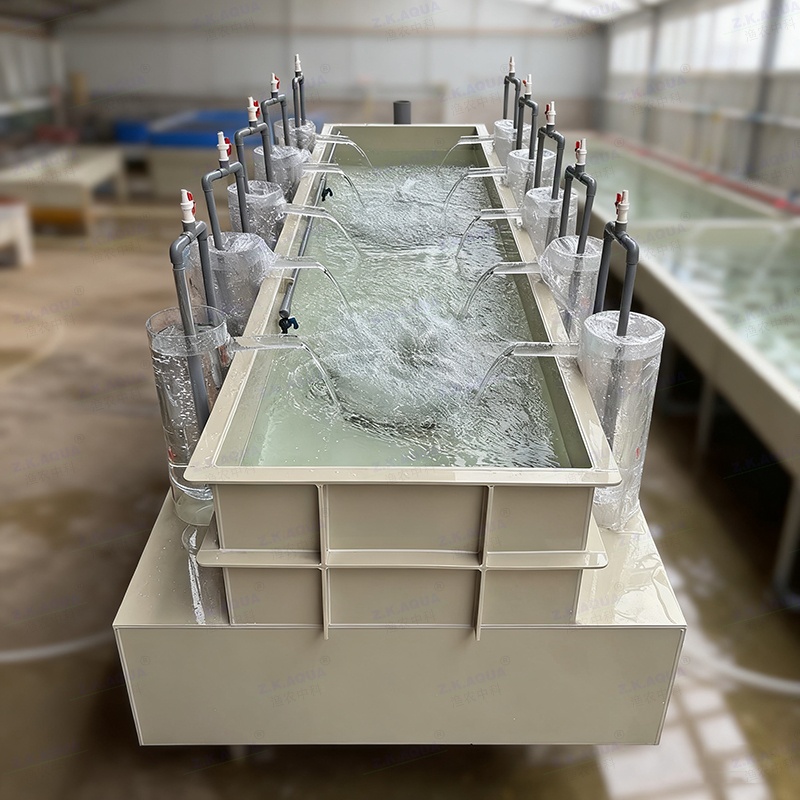 fish Hatching‑Nursery Integrated Tank | 10‑Slot Acrylic & PP Combined Aquaculture Rearing System