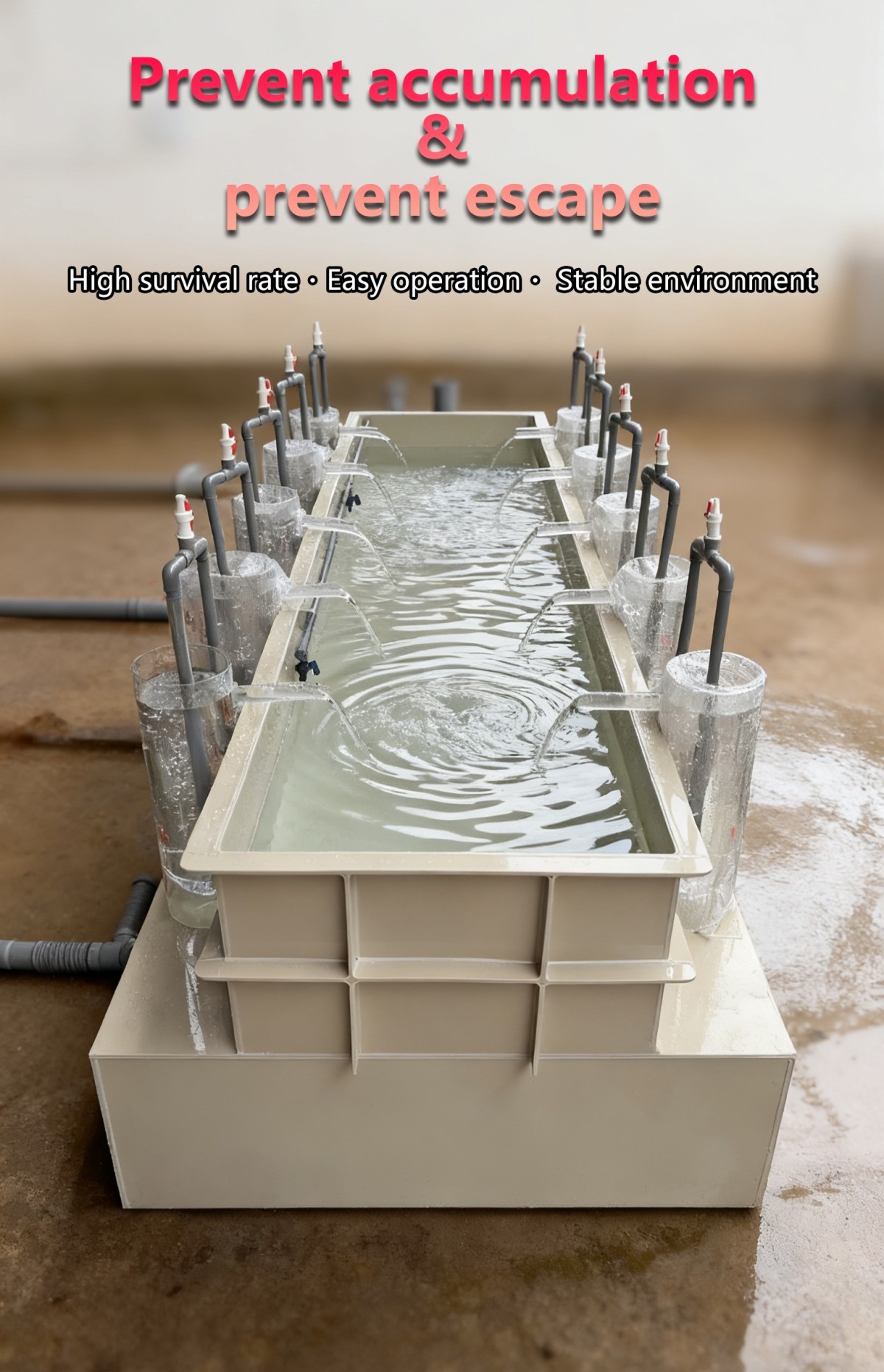 孵化育苗一体池详情页4(英文) fish Hatching‑Nursery Integrated Tank | 10‑Slot Acrylic & PP Combined Aquaculture Rearing System