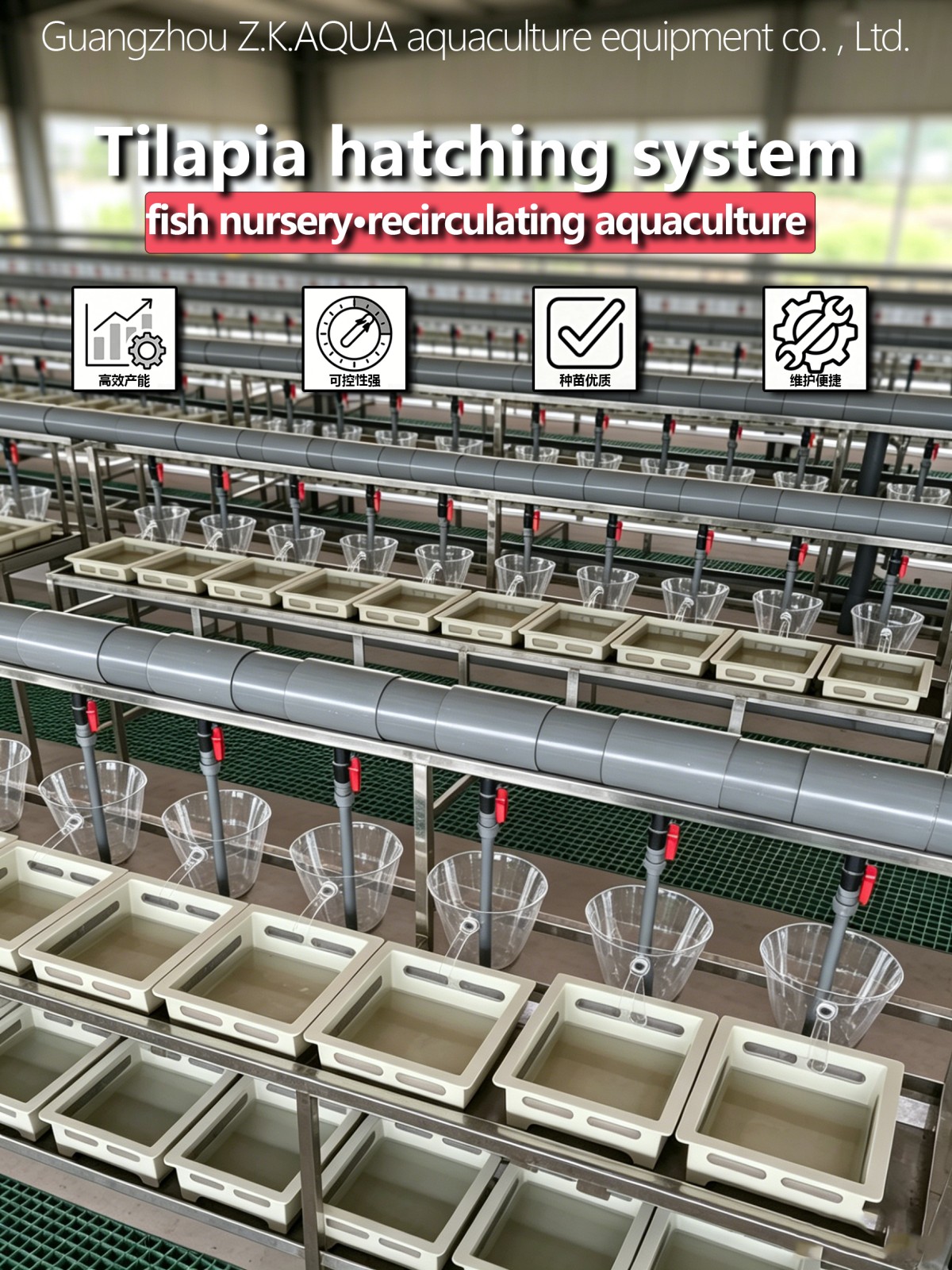工厂化孵化车间首图1(英文) Tilapia Hatching Modular Array System | Industrial RAS Flow‑Through Tilapia Seed Incubation Unit