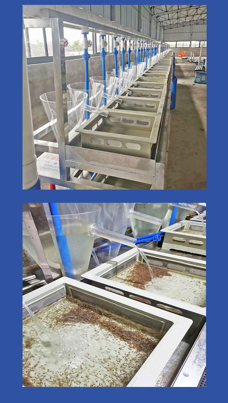 鱼苗孵化设备5英文_04 Tilapia Hatching Modular Array System | Industrial RAS Flow‑Through Tilapia Seed Incubation Unit