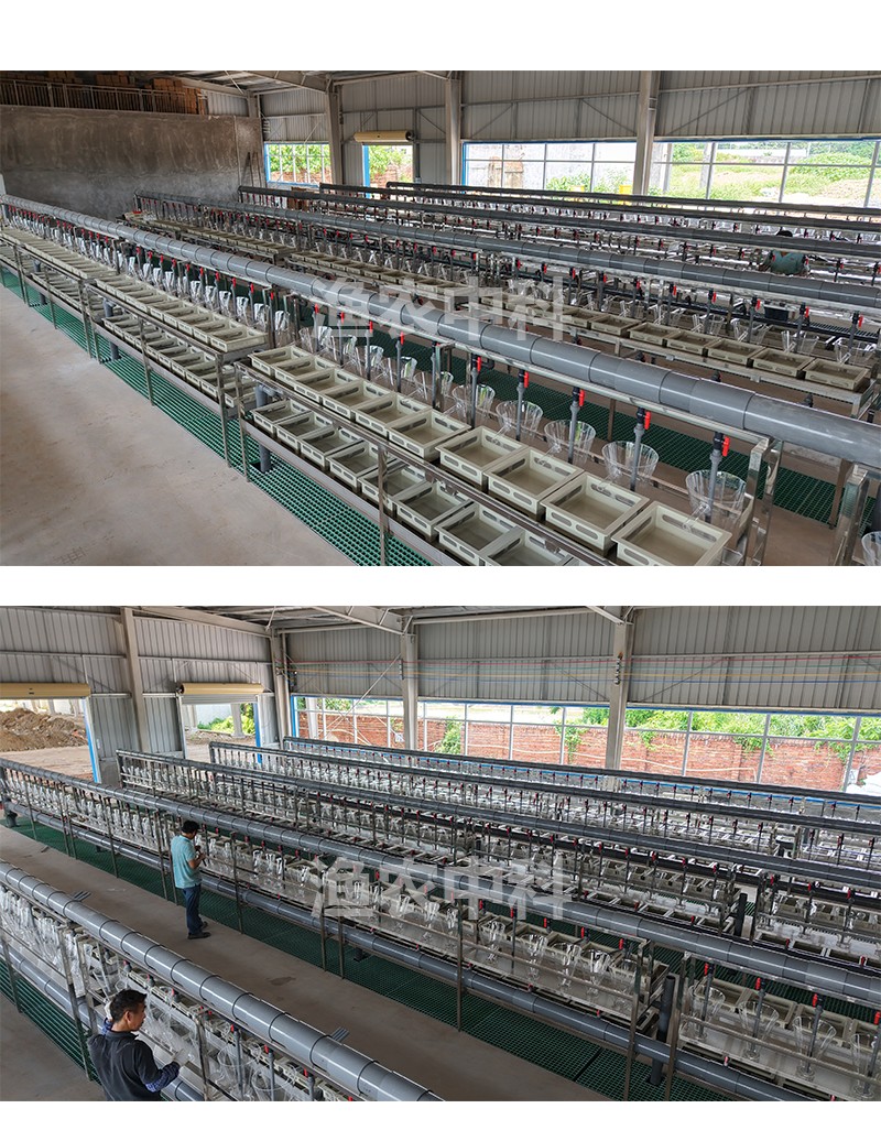 鱼苗孵化设备5英文_05 Tilapia Hatching Modular Array System | Industrial RAS Flow‑Through Tilapia Seed Incubation Unit