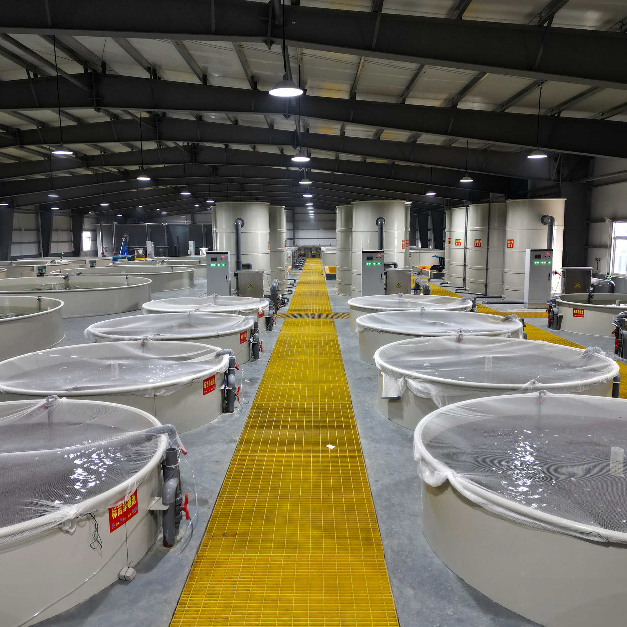 Intelligent Split RAS Aquaculture System, Customizable High-Density Recirculating Fish Farming Equipment