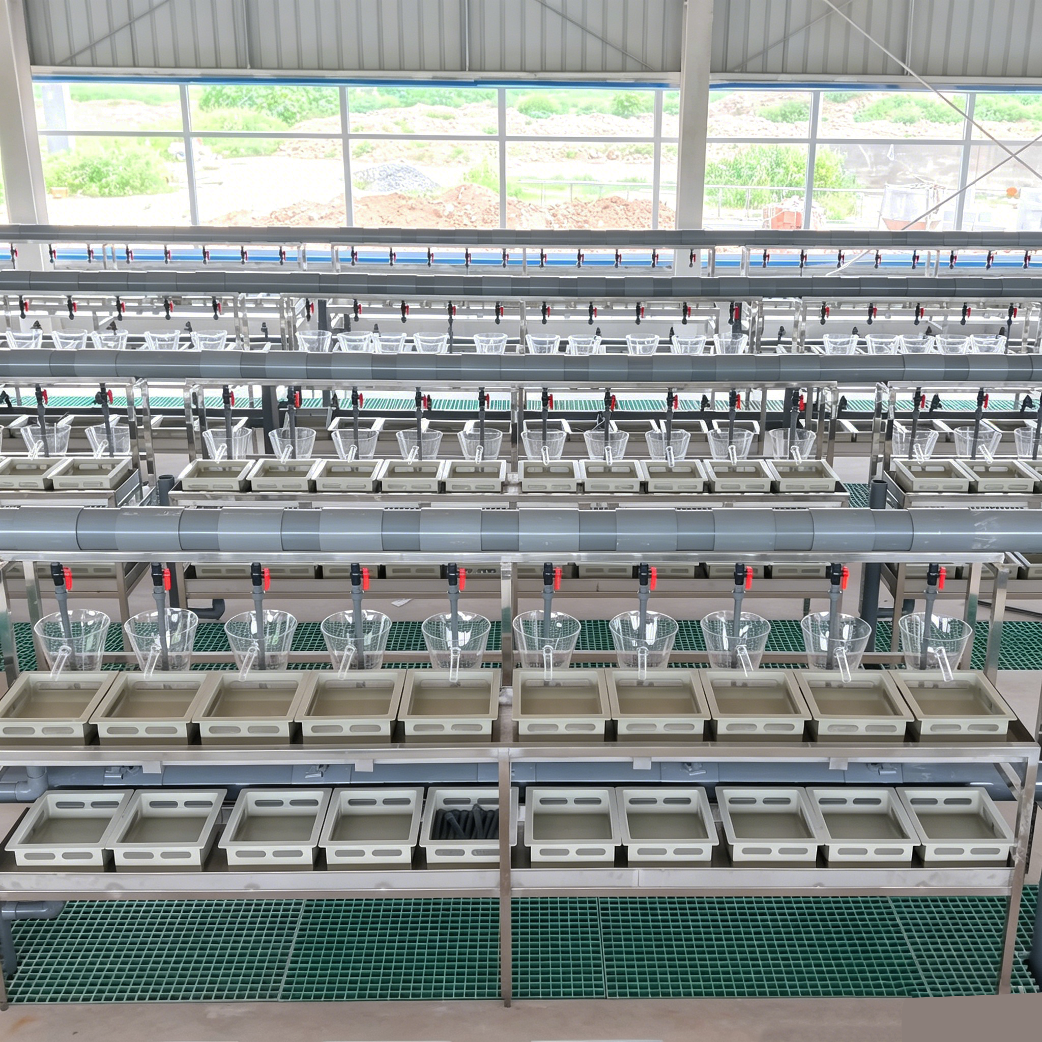 High-density Tilapia Fry Hatchery Equipment | Acrylic Egg Incubator & Fingerling Rearing Recirculating System