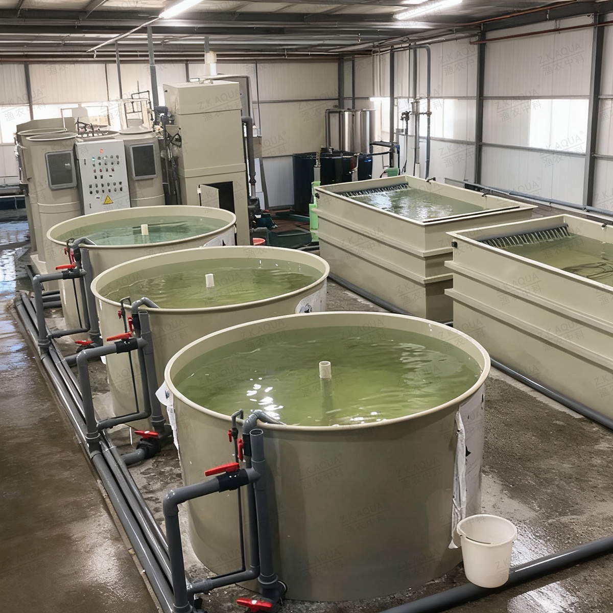Compact Recirculating Aquaculture Nursery Equipment | Integrated Water Filtration for Fish Egg Hatching & Fry Rearing