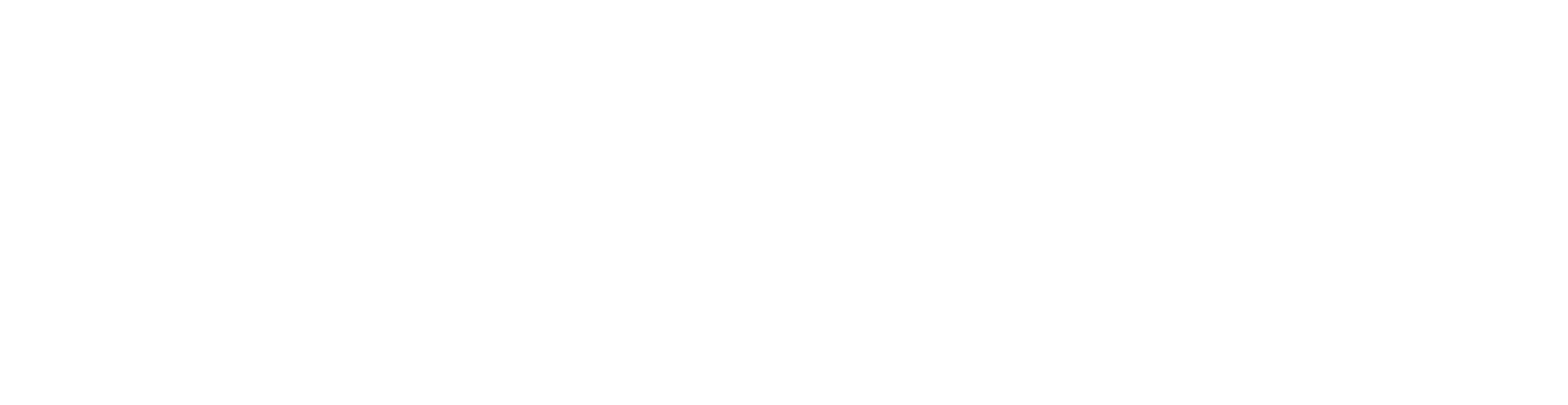 包投logo英文白