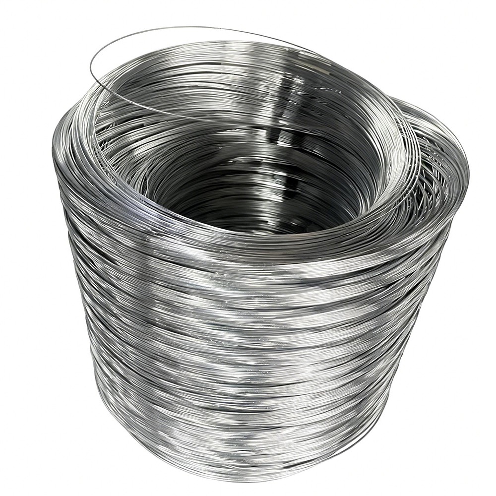 Stainless Steel Wire Rope 7x7 7x19 1x19 304 316 Marine Grade 0.5mm-32mm for Lifting Rigging Architecture