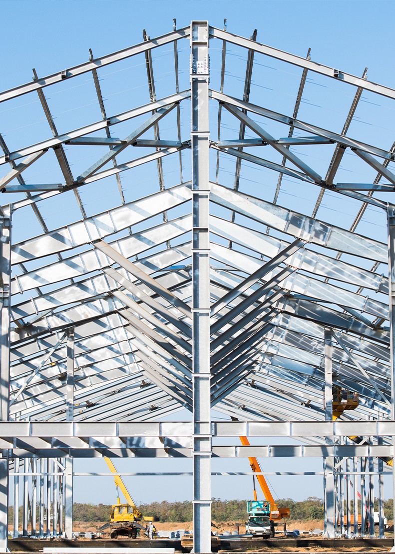 Plant Frame