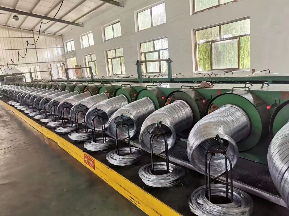 Galvanized steel wire Galvanized steel wire