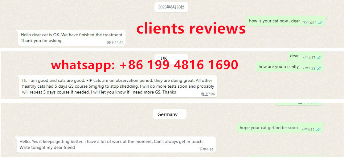 1116  修改_副本1.jpg