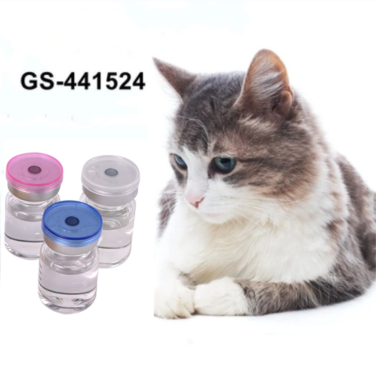 factory supply GS 441524 Overseas Warehouse with Door To Door Service