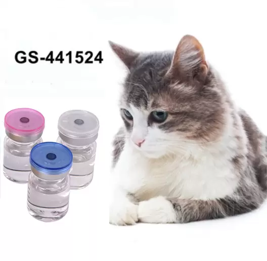 factory supply GS 441524 Overseas Warehouse with Door To Door Service