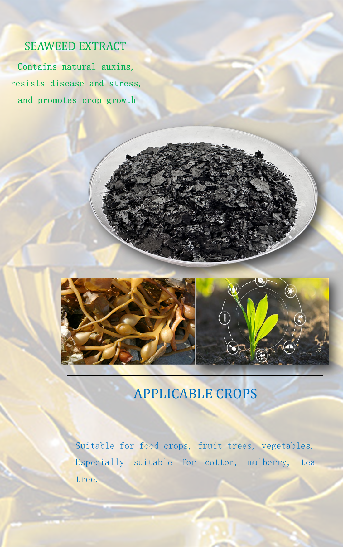 Seaweed Extract design.png