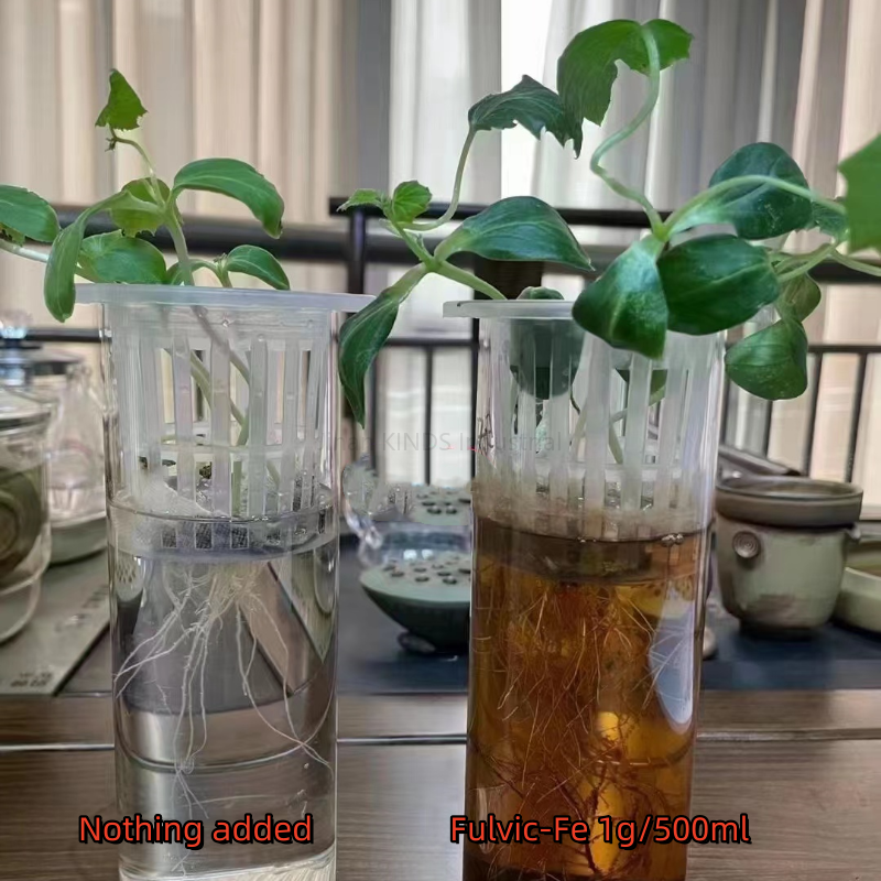 Fulvic-Fe