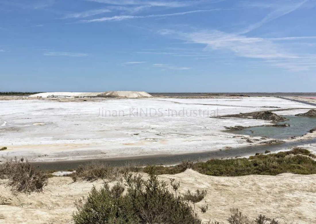 盐碱地.png