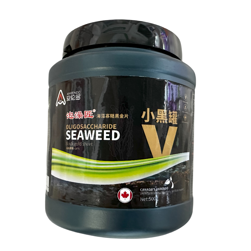 Seaweed Essence flake