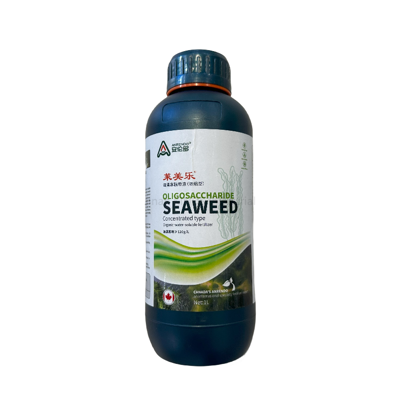 Seaweed Essence flake