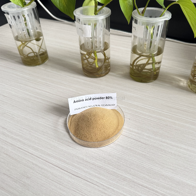 Amino acid powder 80%
