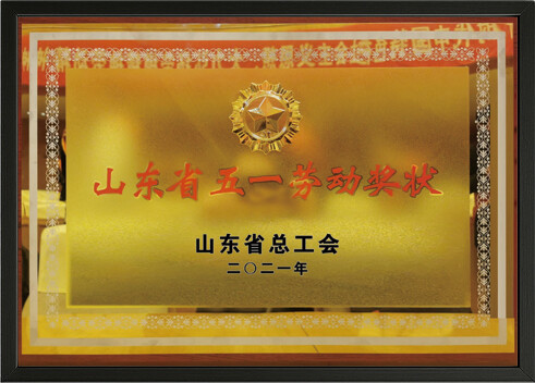 山东省五一劳动节奖