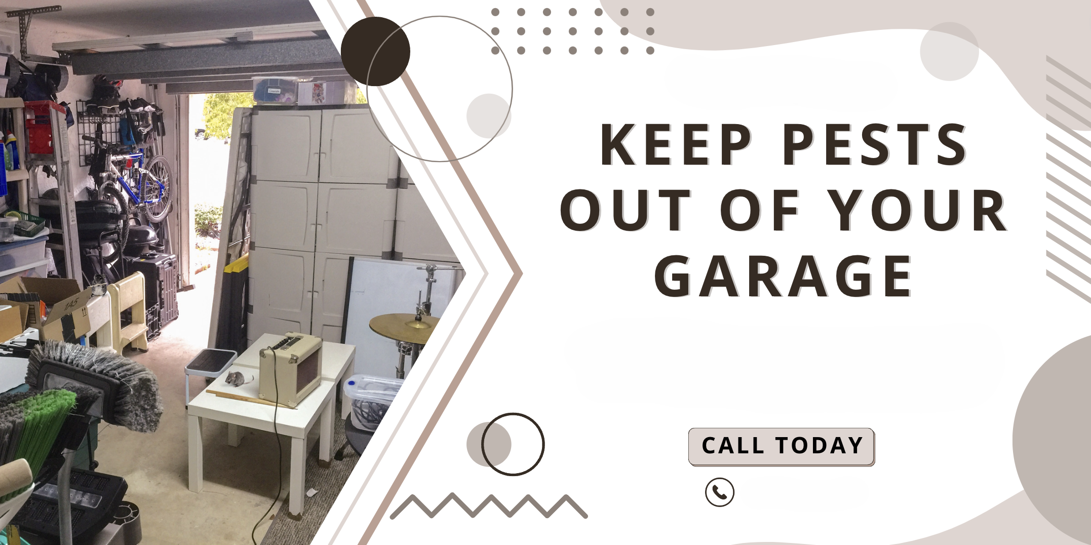 How to keep bugs out of your garage: A complete guide