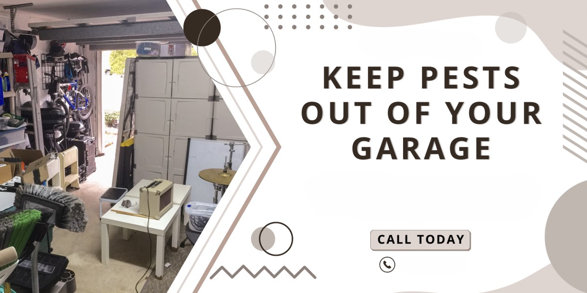 4-Tips-to-Keep-Bugs-Rats-Out-of-Garage 4-Tips-to-Keep-Bugs-Rats-Out-of-Garage