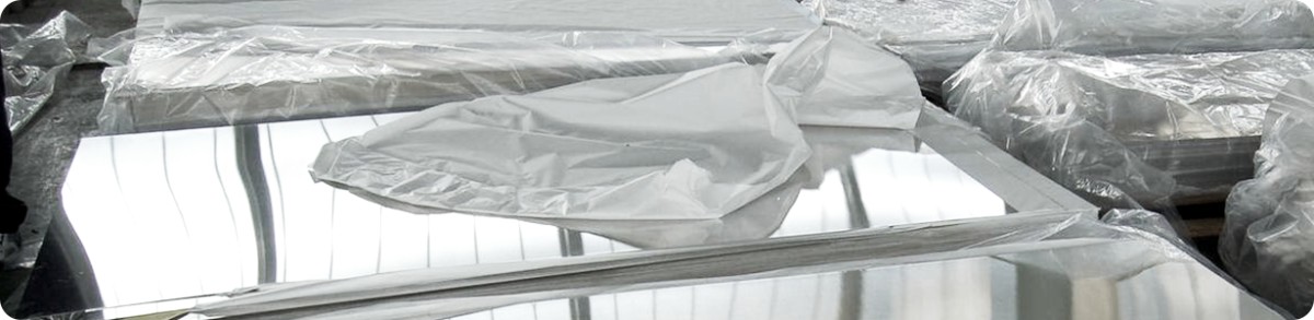 Stainless steel plate.png