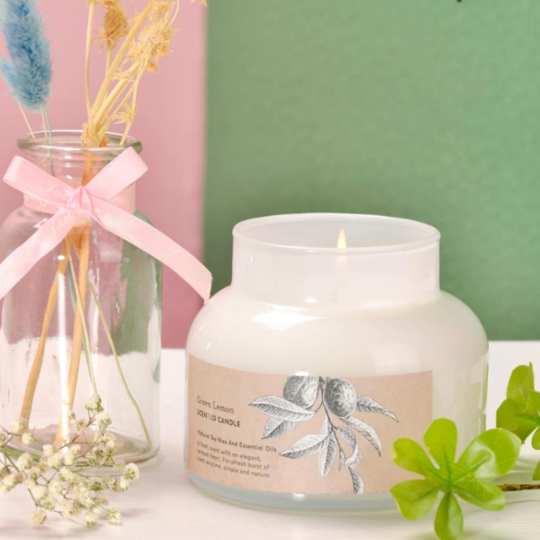 Christmas Scented Travel Aromatherapy Soy Wax Gift Candles