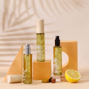 Hot Seller Wood Top Luxury Scented Reed Diffuser Fresher Home Decoration Natural Essential Oil