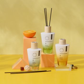 Hot Seller Wood Top Luxury Scented Reed Diffuser Fresher Home Decoration Natural Essential Oil