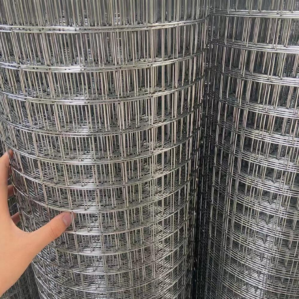 Wire Mesh