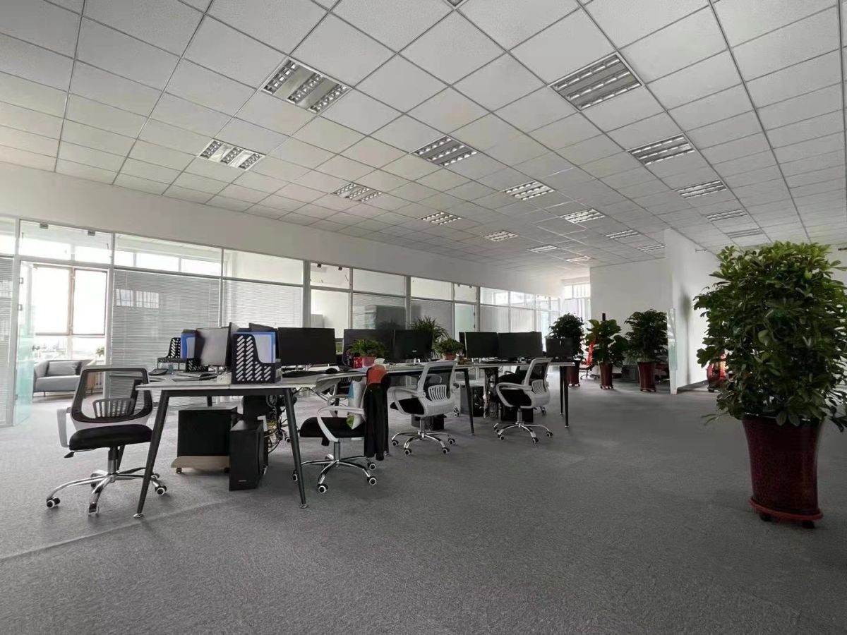 mmexport1629797070975.jpg