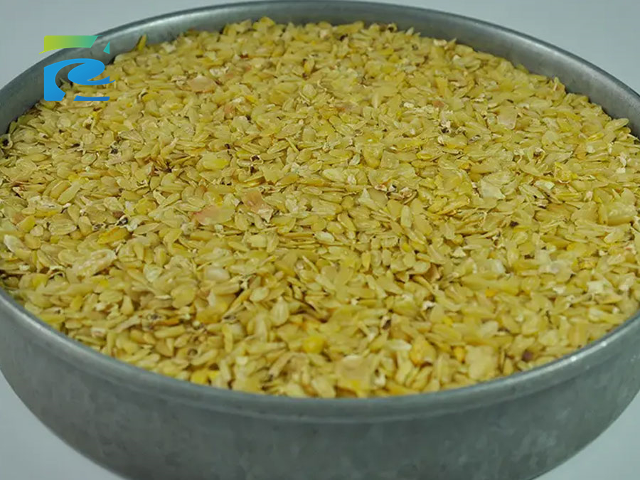 Corn Germ